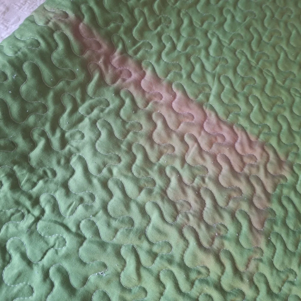 Brandream Green Paisley Patterned Quilt & 2 Yellow Pillows